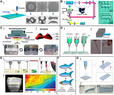 3D Printing Hydrogel-Based Soft and Biohybrid Actuators: A Mini-Review on Fabrication Techniques, Applications, and Challenges